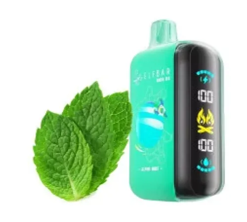 Elf Bar Raya D3 25000 Alpine Mint