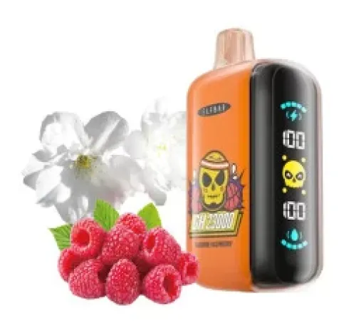 Elf Bar GH 23000 Jasmine Raspberry 🌸💖